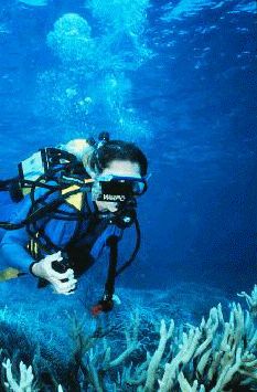 underwater wearable computer with handheld chordic GUI